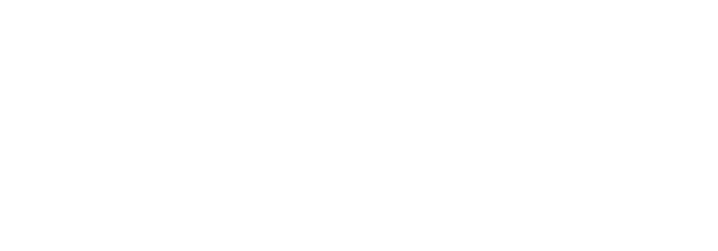 Lantro Global Alliance Partners logo