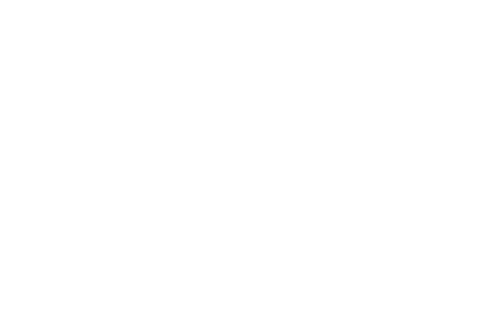 Lantro Vision North America logo